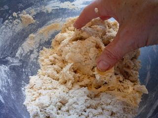 Using your hand gently work the dough by pressing it together
